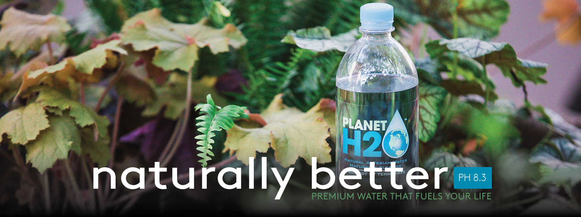 Premium Water that Fuels your life PH8.3